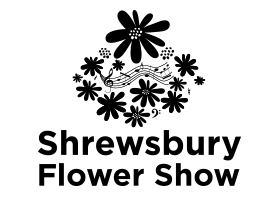 ah-creative-about-sfs-logo